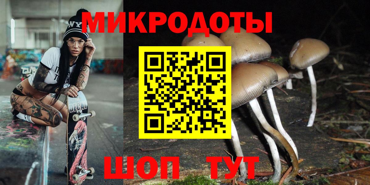 наркотики  Вход с VPN  Псилоцибиновые грибы GOLDEN TEACHER  Лесозаводск  Галлюциногенные грибы мицелий 